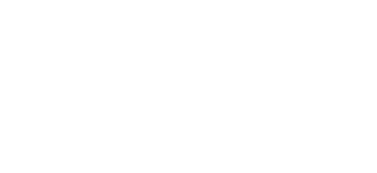 logo-moreti-1024x470